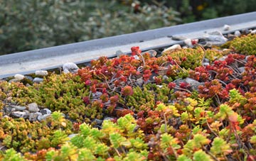 the cost of Heyshaw green roof installation