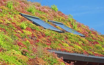 Heyshaw living roof systems